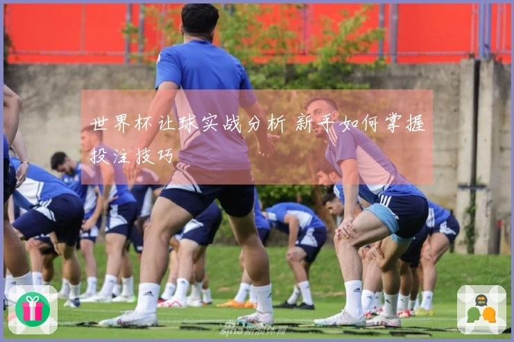 世界杯让球实战分析 新手如何掌握投注技巧