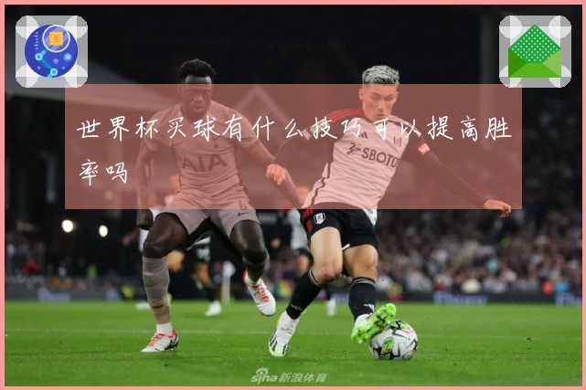 世界杯买球有什么技巧可以提高胜率吗