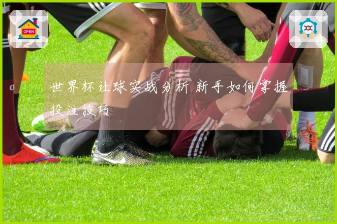 世界杯让球实战分析 新手如何掌握投注技巧