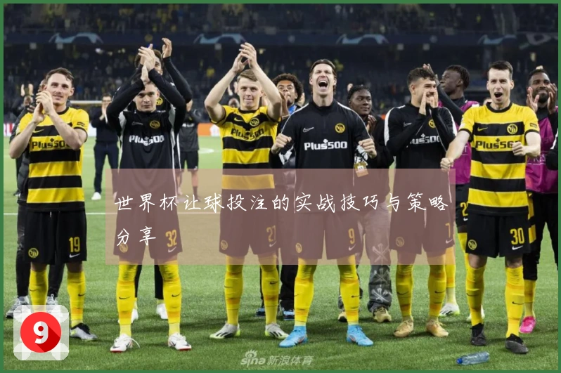 世界杯让球投注的实战技巧与策略分享
