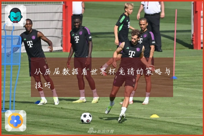 从历届数据看世界杯竞猜的策略与技巧