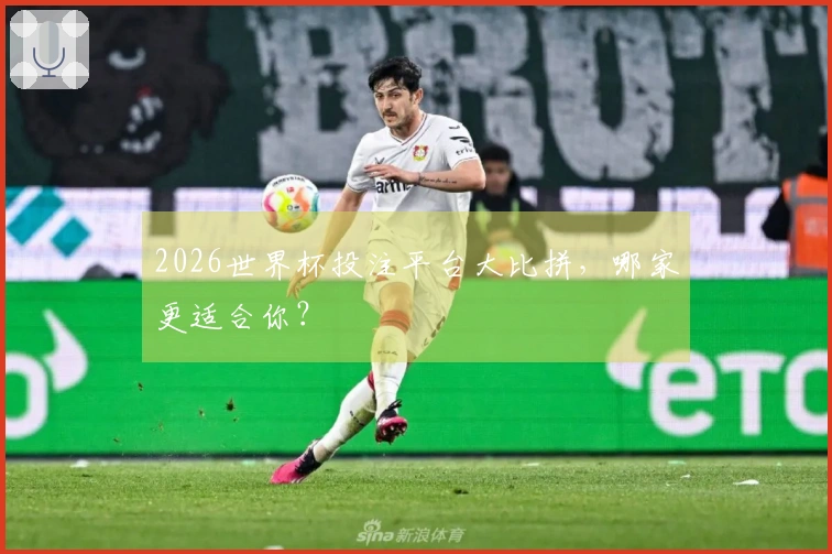 2026世界杯投注平台大比拼，哪家更适合你？